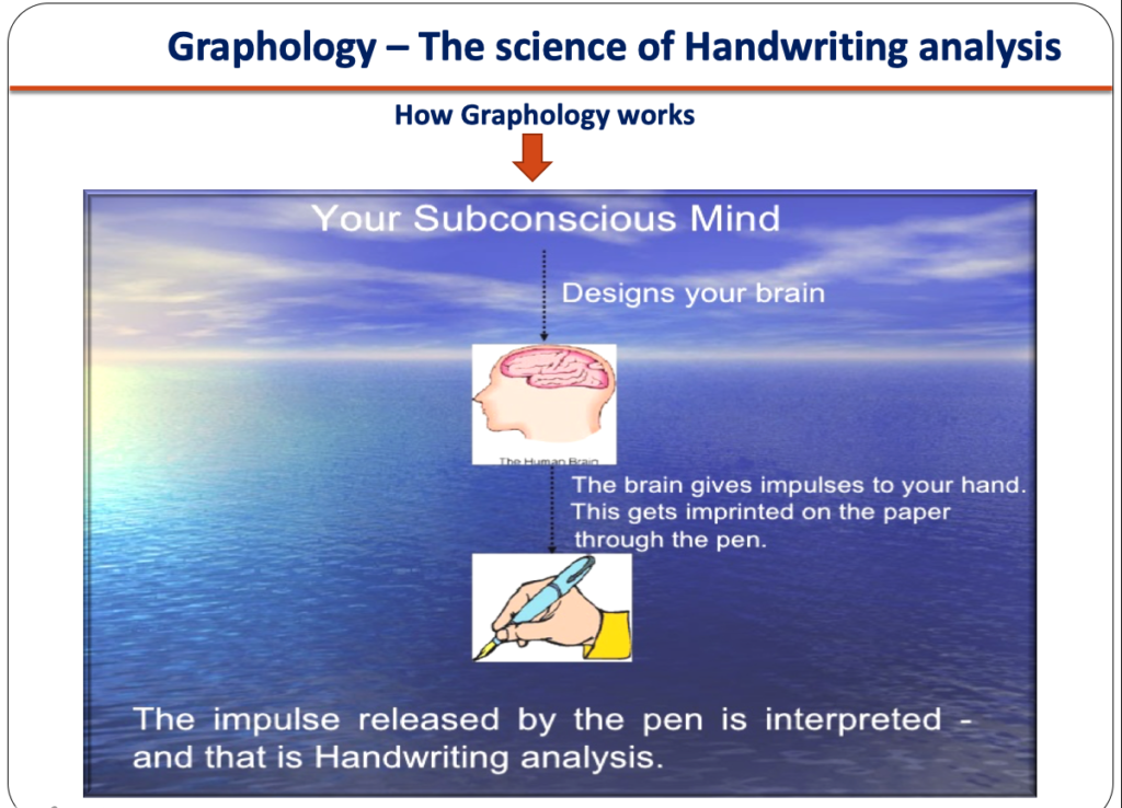 Screenshot 2022-11-29 at 11.52.31 PM