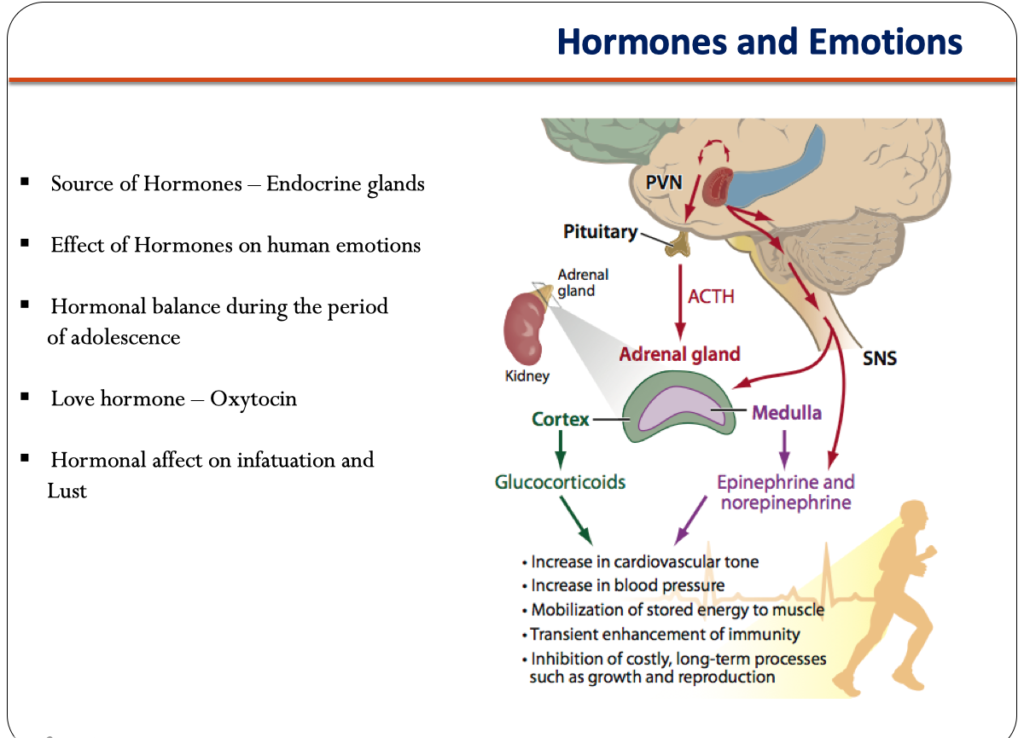 Screenshot 2022-11-29 at 11.52.57 PM